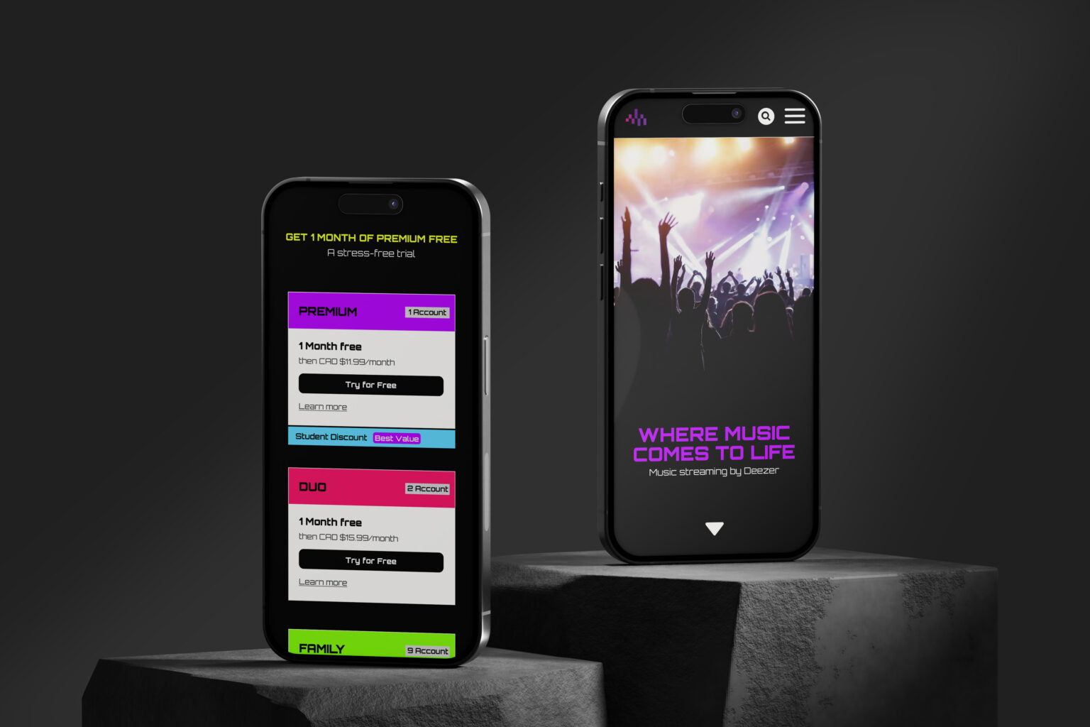 Image of two iphones showing two different sides of the payment page.